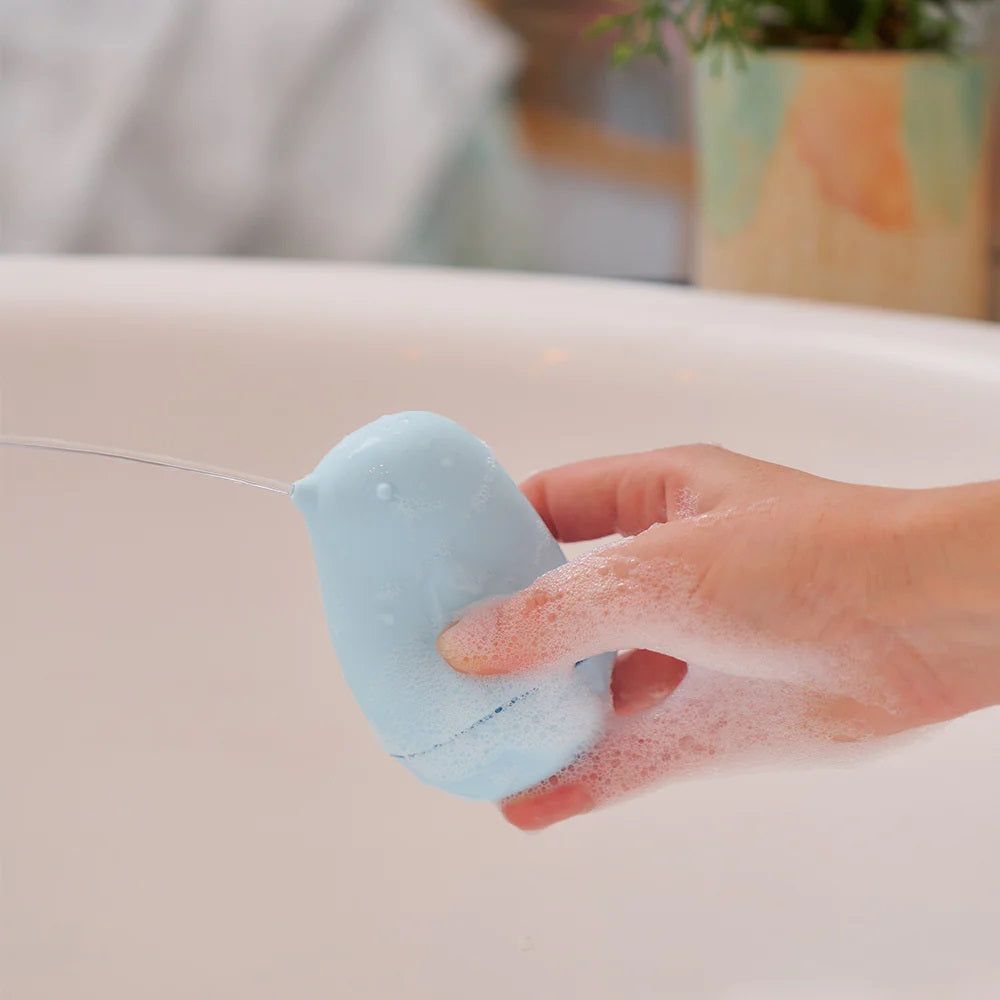 
                  
                    BIRD SILICONE SQUEEZY BATH TOYS BY ANNABEL TRENDS
                  
                