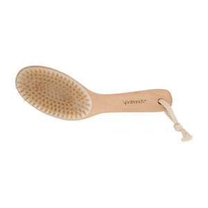 
                  
                    DRY BODY BRUSH BY ANNABEL TRENDS
                  
                